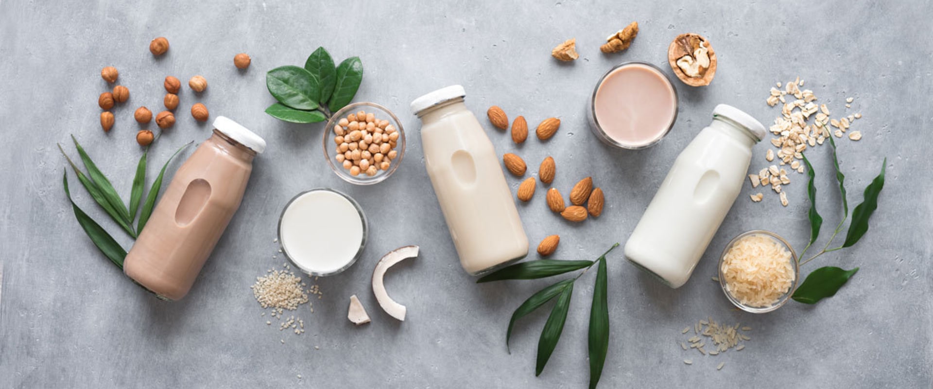 Replacing Dairy Products: Substitutions for Animal Products